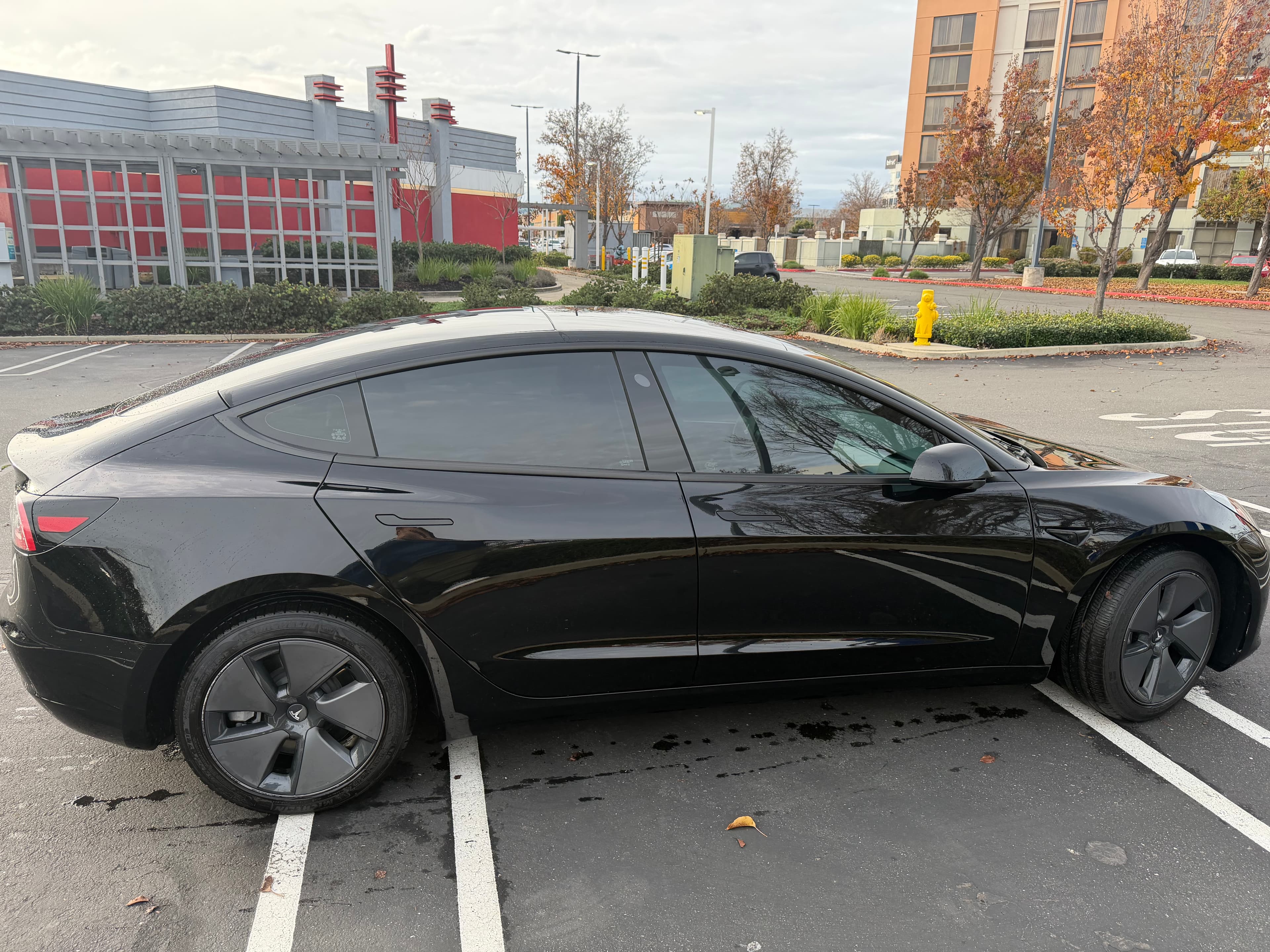 2023 Tesla Model 3 RWD – Low Miles